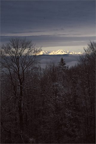 Vysoké Tatry panorama z Čergova
